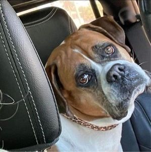 Meet your Posher, John